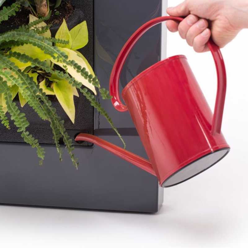 Orren Ellis Noella SelfWatering Plastic Wall Planter Wayfair